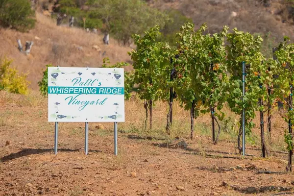 Temecula, CA 92590,1 Via Horca