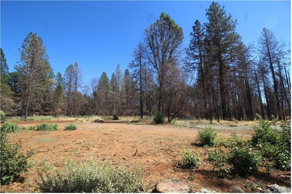 Paradise, CA 95969,8746 Skyway