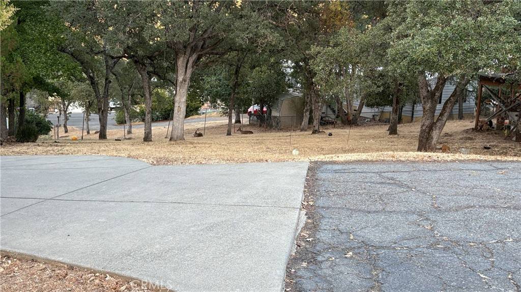 Oroville, CA 95966,34 Coho CT