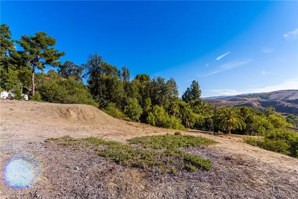 1771 Sirrine DR, North Tustin, CA 92705