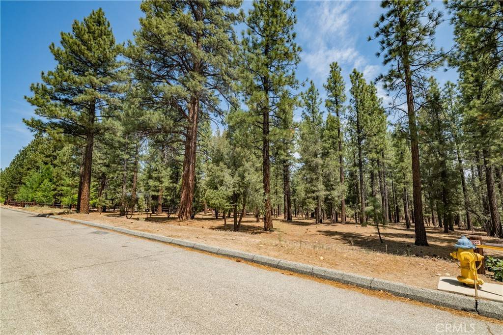 Big Bear City, CA 92314,0 Shady Ln