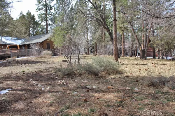 0 Feldstrasse DR, Big Bear Lake, CA 92315