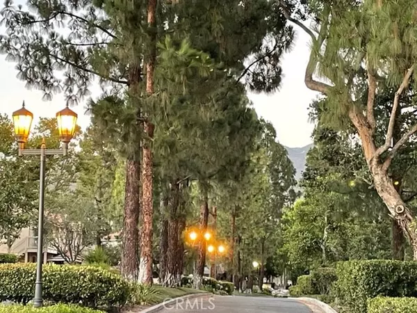 Trabuco Canyon, CA 92679,18993 Canyon Tree DR