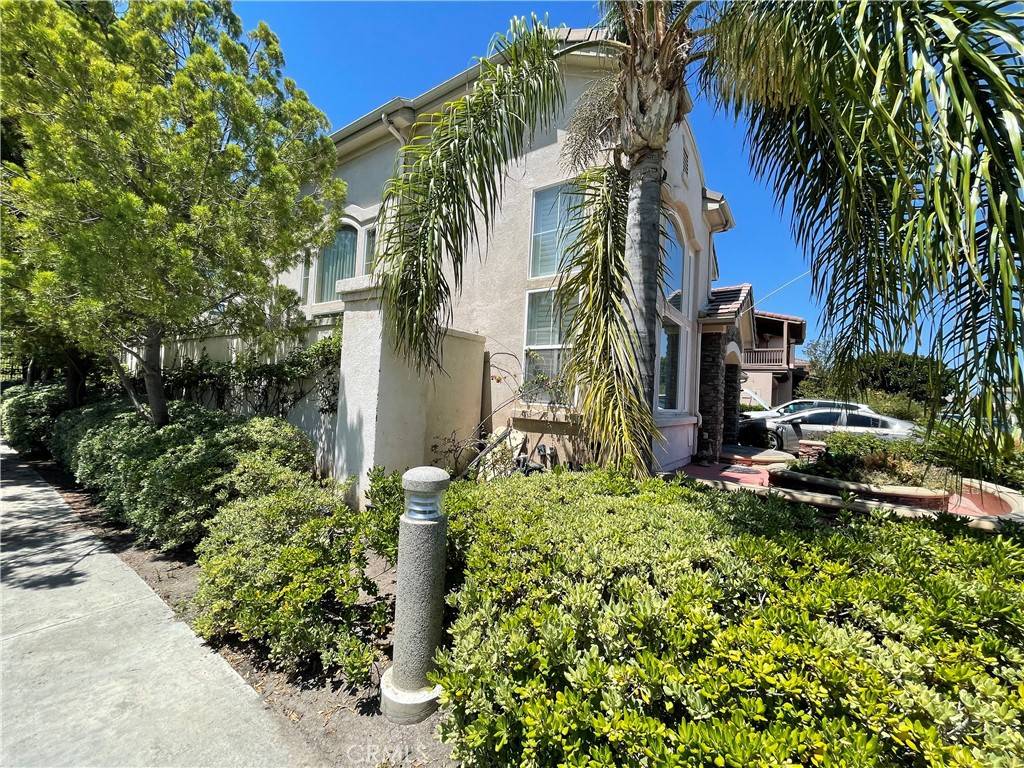 Irvine, CA 92606,1 Petria