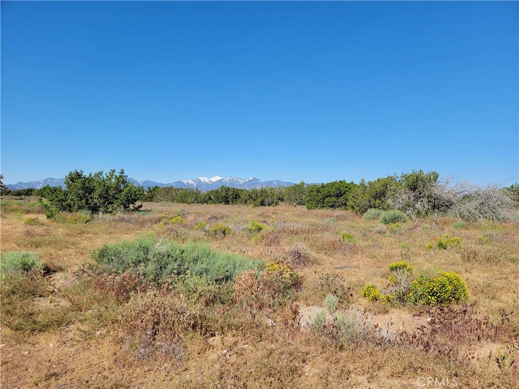 Oak Hills, CA 92344,0 Adobe