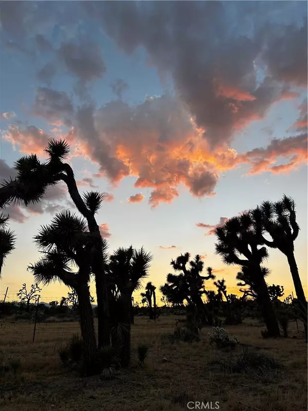 Yucca Valley, CA 92284,57976 Buena Vista DR