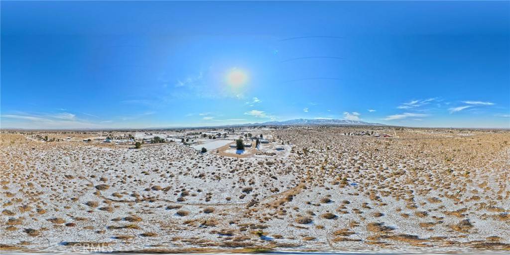 Phelan, CA 92371,0 Daisy