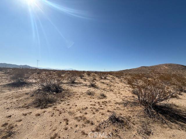 Joshua Tree, CA 92252,2160 Juniper Ave.
