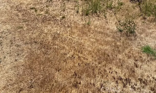 Lancaster, CA 93535,0 10th ST E