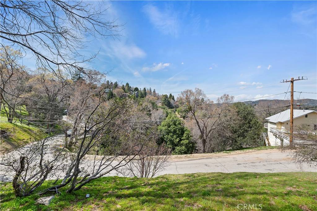 Crestline, CA 92325,382 Davos DR