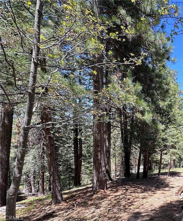 25648 Hi LN,  Twin Peaks,  CA 92391