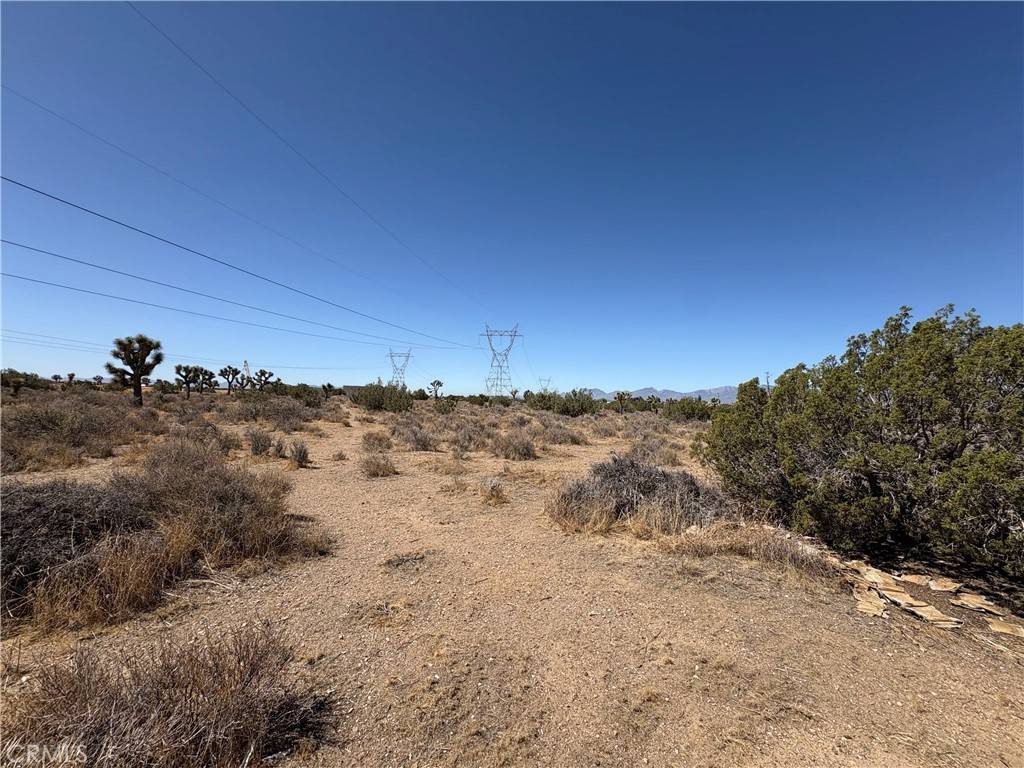 Hesperia, CA 92344,0 Avenal St