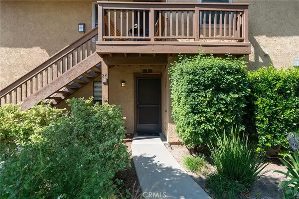 Irvine, CA 92618,26 Tangelo