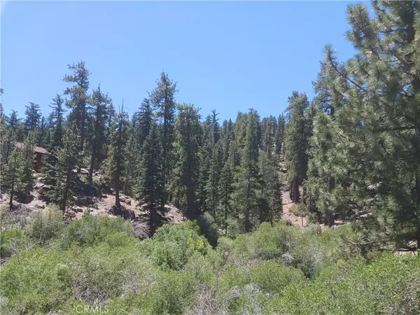 Big Bear Lake, CA 92315,0 Big Bear BLVD