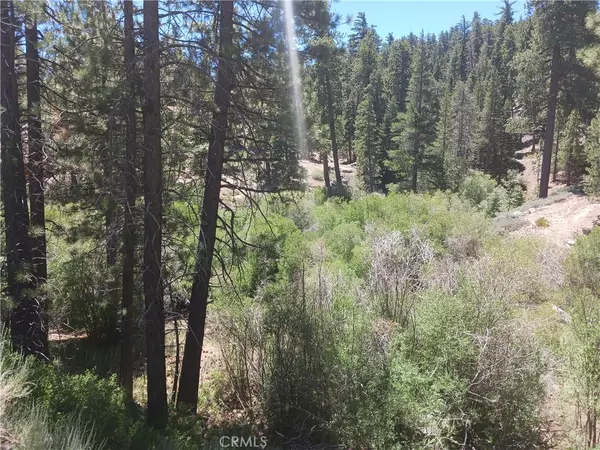 Big Bear Lake, CA 92315,0 Ponca LN
