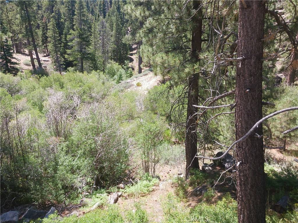 0 Ponca LN, Big Bear Lake, CA 92315