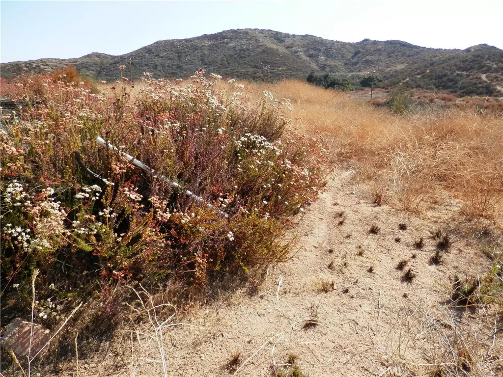 Wildomar, CA 92584,0 Olive ST