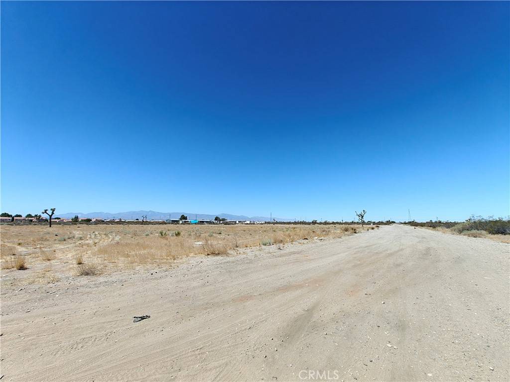Adelanto, CA 92301,0 Juniper