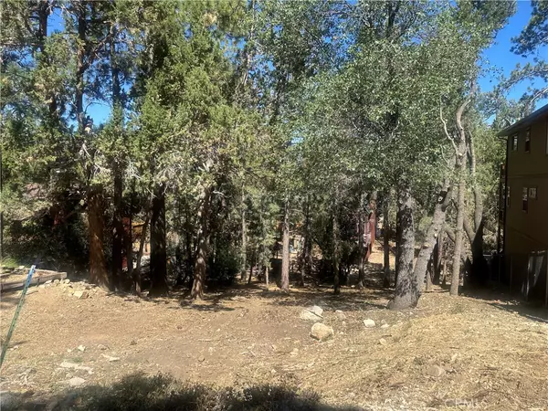 Sugarloaf, CA 92386,0 Imperial AVE