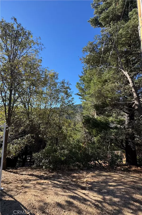 Crestline, CA 92325,428 Delle DR