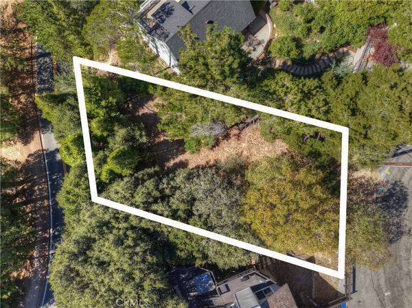 Crestline, CA 92325,428 Delle DR