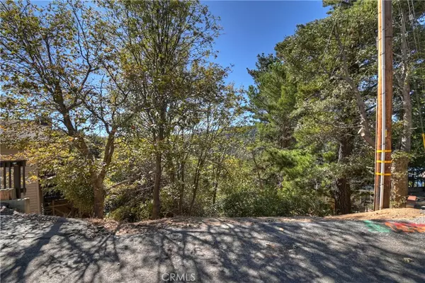 Crestline, CA 92325,428 Delle DR