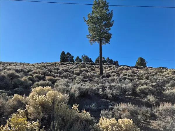 Big Bear City, CA 92314,0 Rustic Canyon
