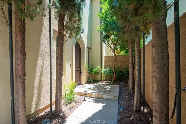 Irvine, CA 92620,62 Tall Cedars