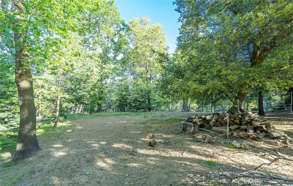 Twin Peaks, CA 92391,542 Sunset View RD