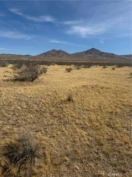 0 Chiffon Street, Oro Grande, CA 92368