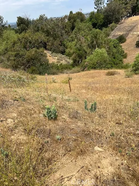 Anaheim Hills, CA 92808,309 Penny LN