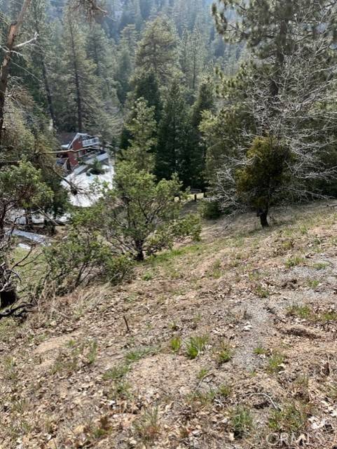 Crestline, CA 92391,818 Berne