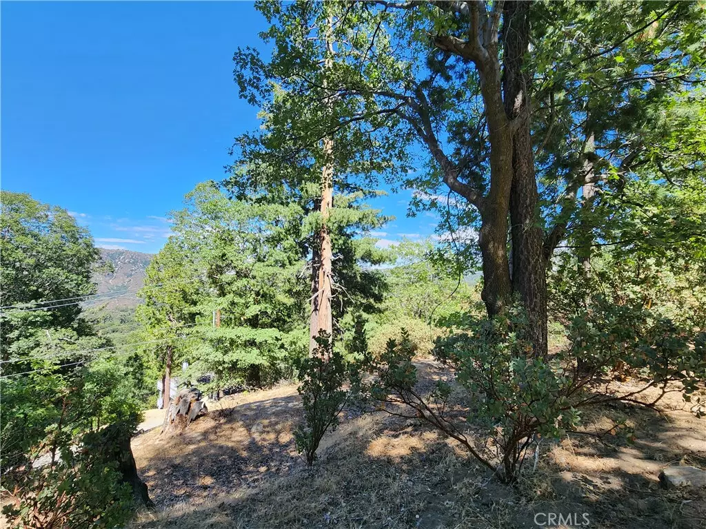 Crestline, CA 92325,203 Canyon View DR