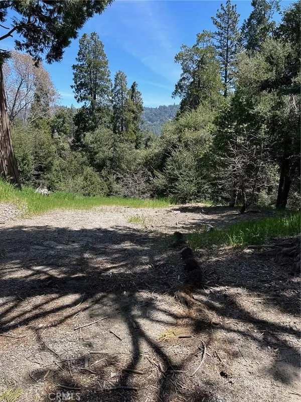 Crestline, CA 92325,1039 Jungfrau DR