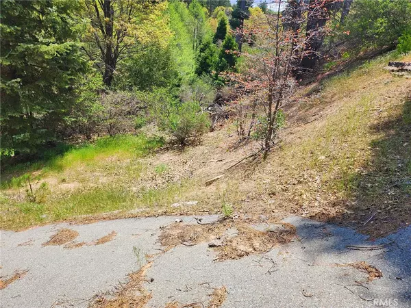 Cedar Glen, CA 92321,183 Alder LN
