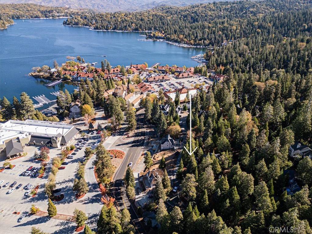 Lake Arrowhead, CA 92352,226 Holiday DR