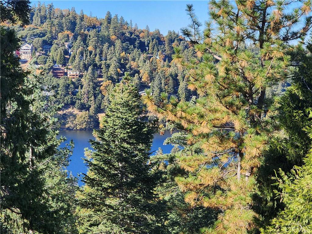 Crestline, CA 92325,800 Arbula DR