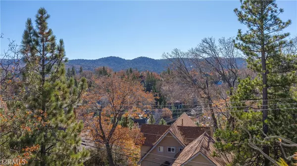 Lake Arrowhead, CA 92352,28204 Arbon LN