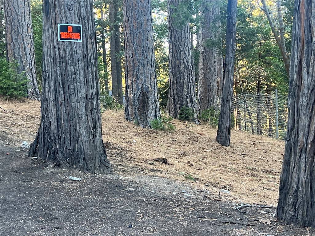 772 Sierra Vista DR, Twin Peaks, CA 92391