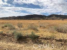 0 Vac/Cor Avenue S/Farnborough AVE, Palmdale, CA 93551