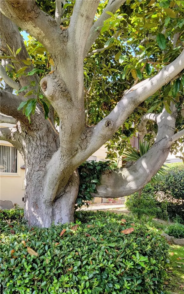 Redondo Beach, CA 90277,325 Calle Miramar