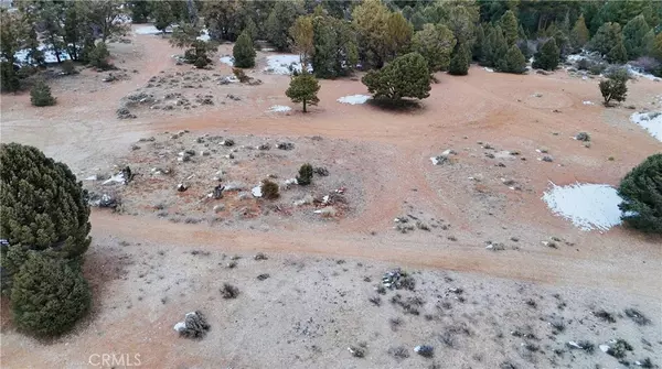 Big Bear City, CA 92314,0 Pine LN