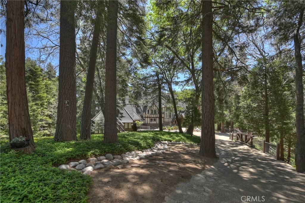 Lake Arrowhead, CA 92352,29223 Pigeon Hawk LN
