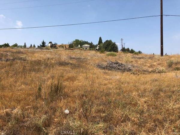 Lake Hughes, CA 93532,0 Elizabeth Lake RD