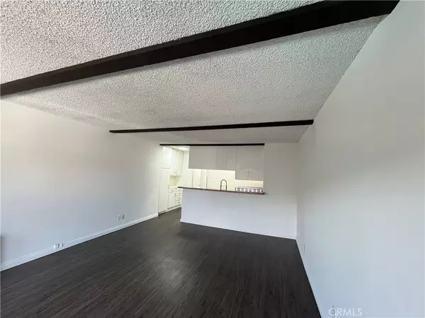 Redondo Beach, CA 90277,209 S Prospect AVE #116