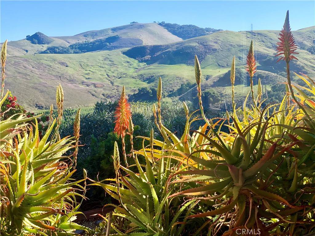 Morro Bay, CA 93442,2865 Atascadero RD