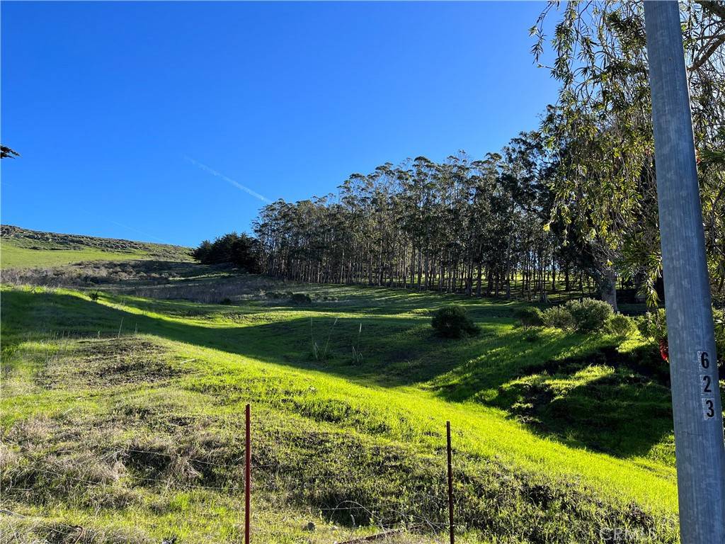 Morro Bay, CA 93442,650 Sequoia CT