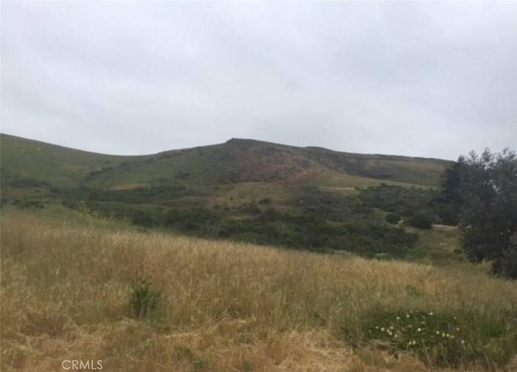 Cayucos, CA 93430,0 Herbert AVE