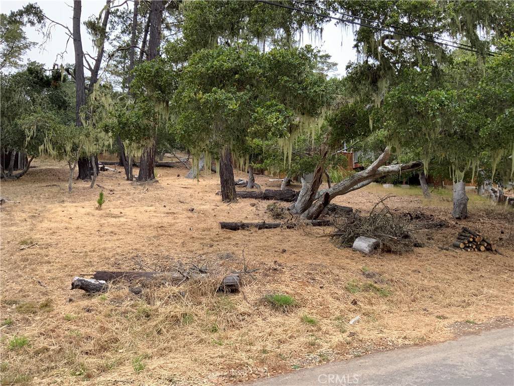0 Randall DR, Cambria, CA 93428