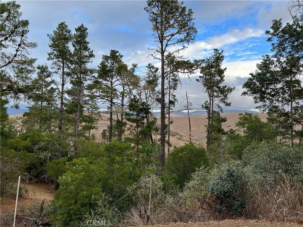 1925 Arliss DR, Cambria, CA 93428